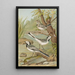 Motacilla alba - Johann Friedrich Naumann — framed artwork on a wall