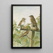 Muscicapa grisola Muscicapa atricapilla - Johann Friedrich Naumann — framed artwork on a wall