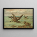 Oceanodroma leucorrhoa Vieill Gaviota de cola bifurcada - Johann Friedrich Naumann — cuadro enmarcado en la pared