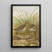 Ortygometra porzana - Johann Friedrich Naumann — framed artwork on a wall