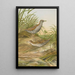 Ortygometra pusilla - Johann Friedrich Naumann — framed artwork on a wall