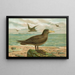 Ossifraga gigantea GMEL Gran petrel - Johann Friedrich Naumann — cuadro enmarcado en la pared