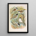 Parus salicarius montanus borealis Liljeborg Dresseri meridionalis Liljeborg - Johann Friedrich Naumann — framed artwork on a wall