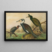 Phalacrocorax carbo, Phalacrocorax graculus, Phalacrocorax pygmaeus - Johann Friedrich Naumann — cuadro enmarcado en la pared