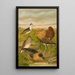 Philomachus pugnax - Johann Friedrich Naumann — framed artwork on a wall