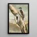 Picoides tridactylus - Johann Friedrich Naumann — framed artwork on a wall