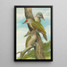 Picus canus - Johann Friedrich Naumann — cuadro enmarcado en la pared