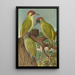Picus viridis - Johann Friedrich Naumann — cuadro enmarcado en la pared