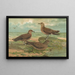 Stercorarius parasiticus Stercorarius pomarinus Great skua Stercorarius longicaudus Vieill - Johann Friedrich Naumann — framed artwork on a wall