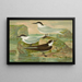 Sterne nilotique Hasselqu Sterne cantiaca Sterne fuligineuse Gm - Johann Friedrich Naumann — framed artwork on a wall