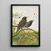 Sturnus vulgaris - Johann Friedrich Naumann — cuadro enmarcado en la pared