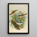 Sylvia subalpina Bonelli Cisticola cisticola Sitta Neumayeri Michah - Johann Friedrich Naumann — framed artwork on a wall