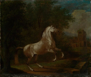 Johann Georg Pforr - Steigender Schimmel.webp