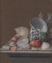 Naturaleza muerta con conchas - Johann Jacob Dietzsch — vista de la obra