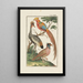 Physique - Johann Jacob Ebert — framed artwork on a wall
