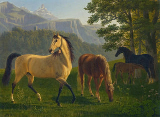 Johann Jakob Biedermann - Pferde Vor Landschaft Horses In Landscape.webp