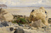 Rocky Shore Painting - Johann Wilhelm Schirmer — artwork view