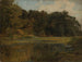 Estanque forestal - Johann Wilhelm Schirmer — vista de la obra