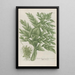 Phytanthoza iconographia Pl226 - Johann Wilhelm Weinmann — cuadro enmarcado en la pared