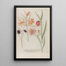 Phytanthoza iconographia Pl240 - Johann Wilhelm Weinmann — framed artwork on a wall