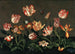 Naturaleza muerta con tulipanes - Johannes Bosschaert — vista de la obra