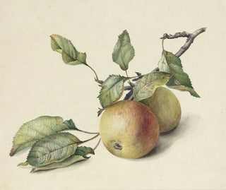 Johannes Reekers II - Twee appeltjes aan een tak.webp