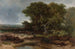 La Lande près de Wolfheze - Johannes Wernardus Bilders — artwork view