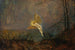 Summer Night or Iris - John Atkinson Grimshaw — artwork view