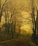 October after the glow - John Atkinson Grimshaw — artwork view