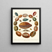 Enciclopedia londinense Conchology Pl 03 - John Chapman — cuadro enmarcado en la pared