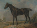 La cabra negra de Constable - John Constable — vista de la obra