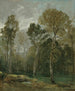 View of a Grove - John Constable — artwork view