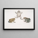 a Carved Snouted Toad Bufo carinatus 2 2a Dubious Toad Bufo dubius Bengal - John Edward Gray — framed artwork on a wall