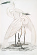 Héron blanc pur Ardea modesta 2 Héron à bec noir Ardea nigrirostris - John Edward Gray — vista de la obra