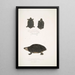 Tortuga moteada Emys Guttata Emys Hamiltonii 2 Tortuga de cuello grueso Emys crassicollis - John Edward Gray — cuadro enmarcado en la pared