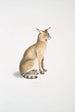 Chat aliado Felis affinis - John Edward Gray — vista de la obra
