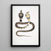Cobra a bandas Capella variedad Naia tripudians var fasciata - John Edward Gray — cuadro enmarcado en la pared