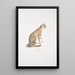 hermoso de gato Felis ornata - John Edward Gray — cuadro enmarcado en la pared