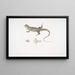 Uromastix de Bell (Uromastix Bellii) de Penang - John Edward Gray — cuadro enmarcado en la pared