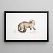 Crosss Paradoxurus Paradoxurus Crossii - John Edward Gray — cuadro enmarcado en la pared