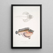 Poisson-cochon déformé Synanaceia grossa Singapour - John Edward Gray — framed artwork on a wall
