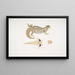 Uromastix de Hardwicke, Uromastix hardwickii de l'Hindoustan - John Edward Gray — cuadro enmarcado en la pared