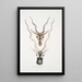 Indian antelope Antilopa cervicapra head and horns 1 young 2 adults - John Edward Gray — framed artwork on a wall