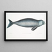Dugong indio Halicora Dugung - John Edward Gray — cuadro enmarcado en la pared