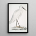 Héron blanco indio Ardea orientalis - John Edward Gray — cuadro enmarcado en la pared