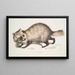 Perro con cara de mapache Canis procyonoides China - John Edward Gray — cuadro enmarcado en la pared
