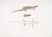 Tiliqua a tres bandas Tiliqua trivittata - John Edward Gray — vista de la obra