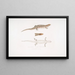 Tiliqua a tres bandas Tiliqua trivittata - John Edward Gray — cuadro enmarcado en la pared