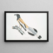 Weigler Rufons Pie Pica Vagabunda indigènes de Calcutta - John Edward Gray — framed artwork on a wall