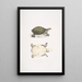 Joven Trionyx valvulaire Trionyx punctata junior - John Edward Gray — cuadro enmarcado en la pared